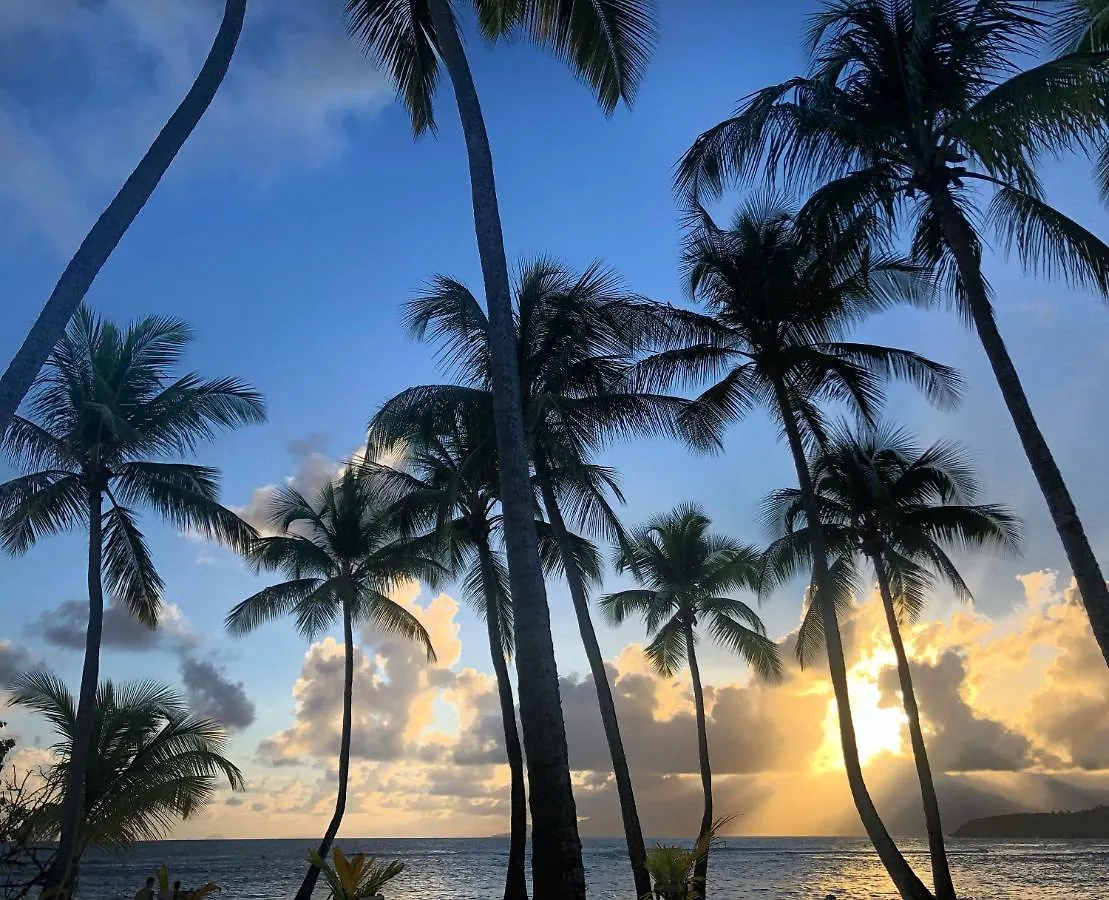 Studio Azur, résidence privée et piscines Saint-Francois  Guadeloupe